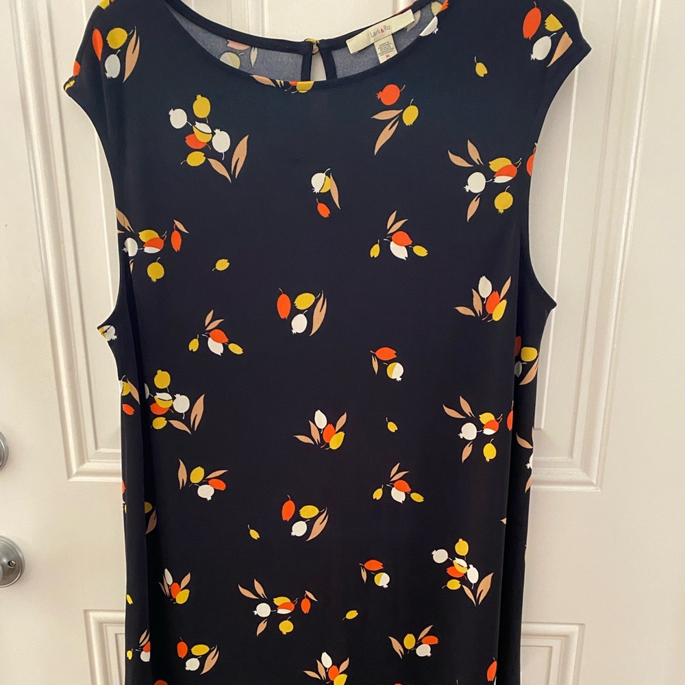 NWOT Lark & Ro aline dress